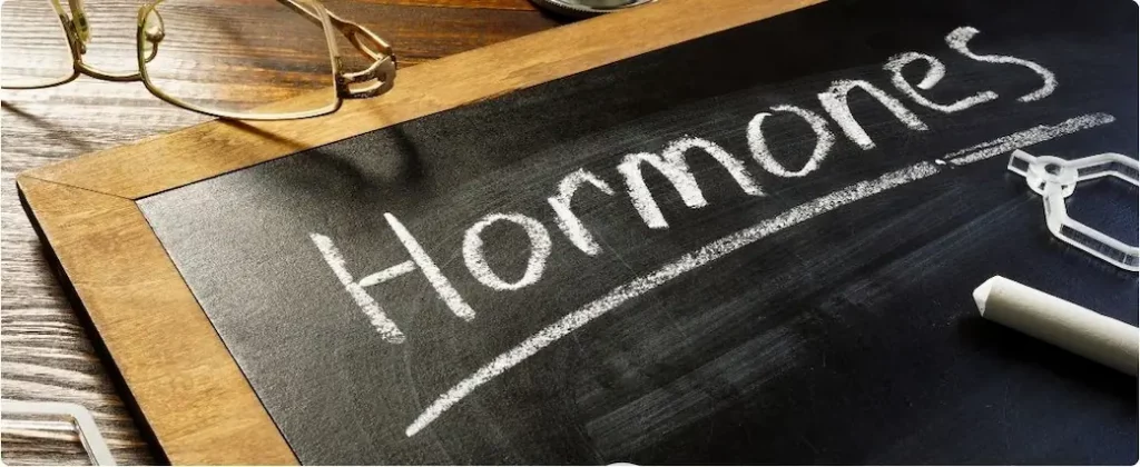 vorsicht mit hormontherapien